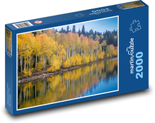 Aspen - drzewa Puzzle 2000 elementów - 90x60 cm