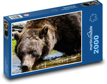 Medveď hnedý Puzzle 2000 dielikov - 90 x 60 cm
