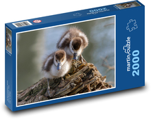 Gęsi egipskie Puzzle 2000 elementów - 90x60 cm