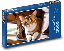 Mourovatá kočka Puzzle 2000 dílků - 90 x 60 cm