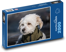 Malý pes Puzzle 2000 dielikov - 90 x 60 cm