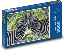 Zebra - Republika Południowej Afryki Puzzle 2000 elementów - 90x60 cm
