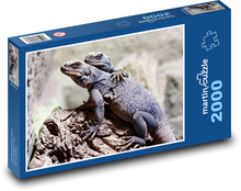 Jaszczurki Puzzle 2000 elementów - 90x60 cm