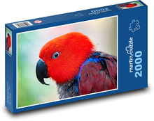 Eclectus mehrfarbig - Papagei Puzzle 2000 Teile - 90 x 60 cm