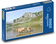 Krowy - Jezioro Puzzle 2000 elementów - 90x60 cm