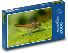 Dragonfly - Insects Puzzle 2000 pieces - 90 x 60 cm