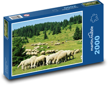 Herd of sheep Puzzle 2000 pieces - 90 x 60 cm