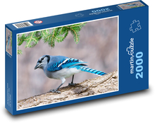 Sojka chocholatá Puzzle 2000 dílků - 90 x 60 cm