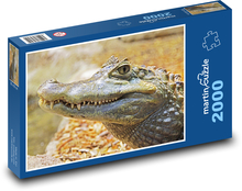 Alligator Puzzle 2000 Teile - 90 x 60 cm