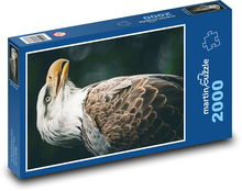 Seeadler! Puzzle 2000 Teile - 90 x 60 cm