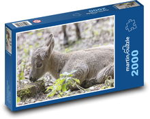 Kozorožec mláďa Puzzle 2000 dielikov - 90 x 60 cm