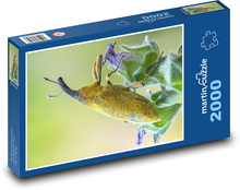 Nosatec - hmyz Puzzle 2000 dílků - 90 x 60 cm