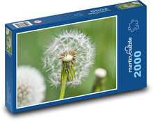 Púpava - kvet Puzzle 2000 dielikov - 90 x 60 cm