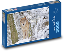 Vlk - Mongolsko Puzzle 2000 dílků - 90 x 60 cm
