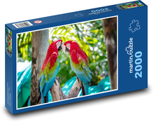 Papoušek Puzzle 2000 dílků - 90 x 60 cm