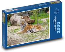 Siberian tiger Puzzle 2000 pieces - 90 x 60 cm