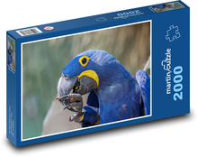 Ptak - papuga Puzzle 2000 elementów - 90x60 cm