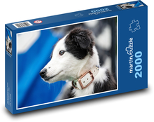 Border-Collie-Welpe Puzzle 2000 Teile - 90 x 60 cm