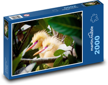 PETUL Bird Puzzle 2000 elementów - 90x60 cm