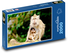 Affen - Tiere Puzzle 2000 Teile - 90 x 60 cm