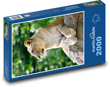 Lioness Puzzle 2000 pieces - 90 x 60 cm