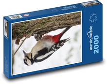 Strakapoud velký Puzzle 2000 - 90x60 cm