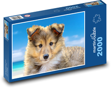 Dog - Puppy Puzzle 2000 pieces - 90 x 60 cm
