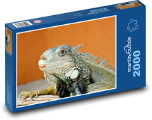 Legwan - gad Puzzle 2000 elementów - 90x60 cm