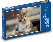 Kočka - kotě Puzzle 2000 dílků - 90 x 60 cm
