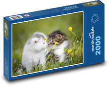 Kocięta w trawie Puzzle 2000 elementów - 90x60 cm