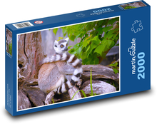 Lemur Puzzle 2000 Teile - 90 x 60 cm
