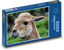 Llama Puzzle 2000 pieces - 90 x 60 cm