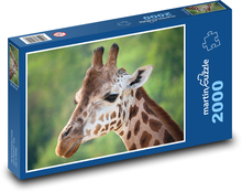 Żyrafa Puzzle 2000 elementów - 90x60 cm