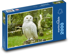 Sowa śnieżna Puzzle 2000 elementów - 90x60 cm