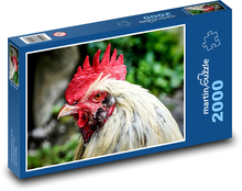 Kohout Puzzle 2000 dílků - 90 x 60 cm