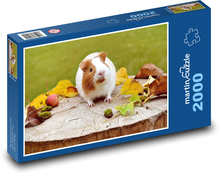 Guinea pig Puzzle 2000 pieces - 90 x 60 cm
