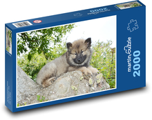 Eurasier - puppy Puzzle 2000 pieces - 90 x 60 cm