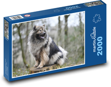Eurasier - pies Puzzle 2000 elementów - 90x60 cm
