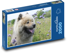 Eurasier Hund in Blumen Puzzle 2000 Teile - 90 x 60 cm
