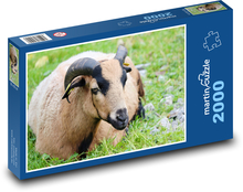 Streichle die Ziege Puzzle 2000 Teile - 90 x 60 cm
