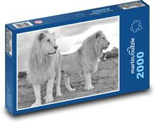 Bílí lvi Puzzle 2000 dílků - 90 x 60 cm