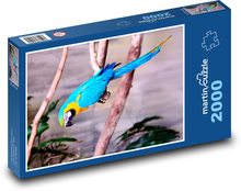Dochuť Puzzle 2000 dielikov - 90 x 60 cm