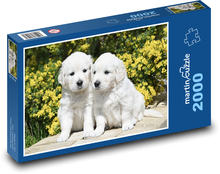 Szczeniak Golden Retriever Puzzle 2000 elementów - 90x60 cm