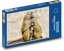 Monkey Family Puzzle 2000 pieces - 90 x 60 cm