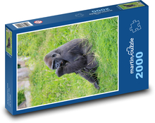 Gorila - opica Puzzle 2000 dielikov - 90 x 60 cm