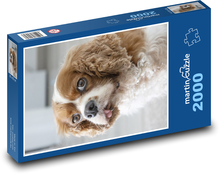King Charles Spaniel - Hund Puzzle 2000 Teile - 90 x 60 cm