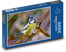 Pták - Sýkora modřinka Puzzle 2000 dílků - 90 x 60 cm