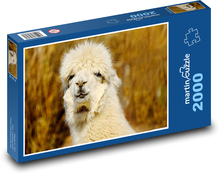 PATTERN: Puzzle 2000 pieces - 90 x 60 cm