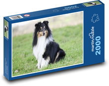 Shetland Shepherd Dog Puzzle 2000 Teile - 90 x 60 cm