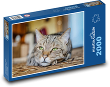 Zielonooki kot Puzzle 2000 elementów - 90x60 cm